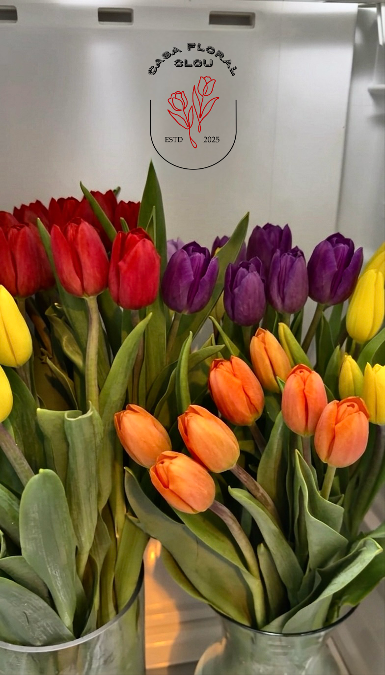 Bouquet 10 Tulipanes